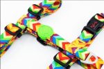 Tailpetz Rainbow Göğüs Tasmasi Small - Görsel 5