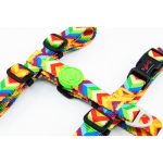 Tailpetz Rainbow Göğüs Tasmasi Small - Görsel 2