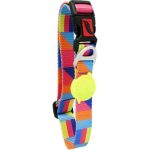 Tailpetz Spirit Boyun Tasması Small - Görsel 5