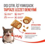 Wanpy Crunchy Pockets Tavuklu Kedi Ödül Maması 60 gr - Görsel 3