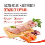 Wanpy Crunchy Pockets Tavuklu Kedi Ödül Maması 60 gr - Görsel 4