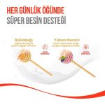Wanpy LolliPop Dondurularak Kurutulmuş Balkabaklı Lolipop Köpek Ödülü 6 gr (10'lu) - Görsel 3