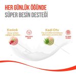 Wanpy LolliPop Dondurularak Kurutulmuş Kızılcıklı Lolipop Kedi Ödülü 1,4gr (10'lu) - Görsel 3