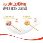 Wanpy LolliPop Dondurularak Kurutulmuş Yaban Mersinli Lolipop Köpek Ödülü 6 gr (10'lu) - Görsel 2