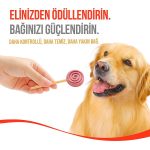 Wanpy LolliPop Dondurularak Kurutulmuş Yaban Mersinli Lolipop Köpek Ödülü 6 gr (10'lu) - Görsel 5