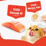 Wanpy Somonlu Kaşık Krema Kedi Ödül Maması 10x16gr - Görsel 4